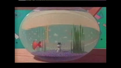 Snowty Snow Funny Animation