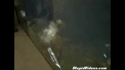 Пингвин пърди под вода