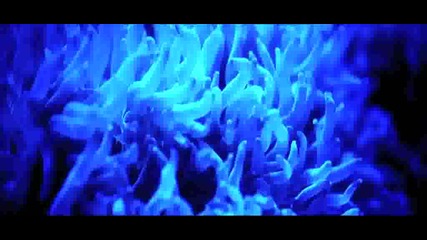 armin van buuren - blue fear - 2009 - 