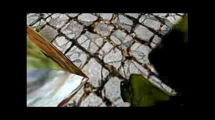 Counter Strike 1.6 deagle power 