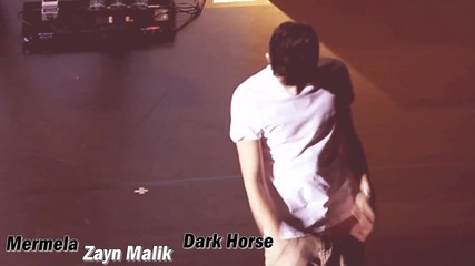 Dark Horse part 6