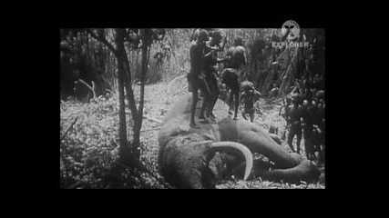 Възмъжаване в Африка Бг. Суб. ( Becoming a Man in Africa) Част 5 