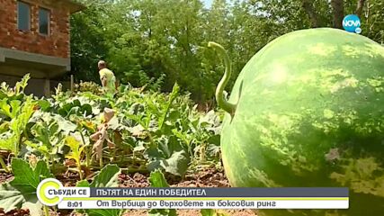 Пътят на Стойка Кръстева: От Върбица до върховете на боксовия ринг