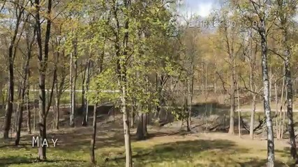 Една година в 120 секунди 