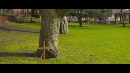 Daniel Newman - Green Green Grass Of Home