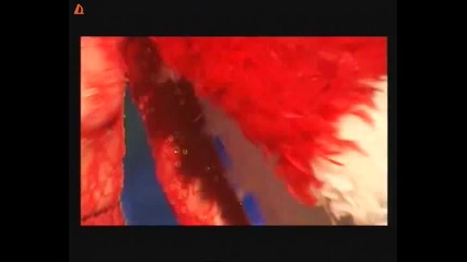 Петра Пачки