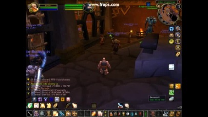 Wow Xx Ninja