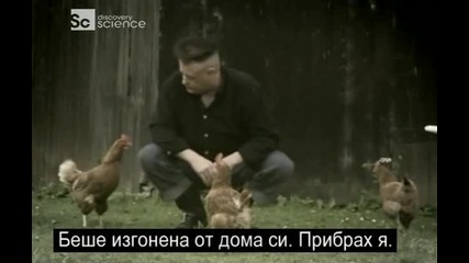 Десет начина да предскажеш бъдещето! ( № 4 )