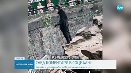 Истинска мечка или човек с костюм: Китайски зоопарк отговори на спекулациите за свой питомец