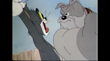 Tom And Jerry - The Bodyguard 