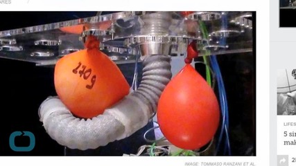 Octopus-Inspired Robotic Arms Lend a Hand in Surgery
