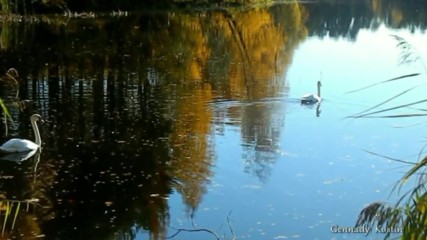 Золотая осень на голубом озере. Релакс.