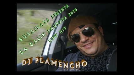 Suraikata - Pesenta Za Galin Pantata 2013 Live Dj Plamencho