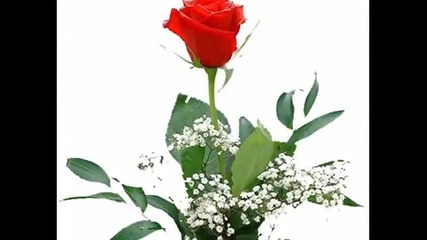 Richard Clayderman Lady in Red.wmv -дамата в червено