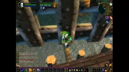 World Of Warcraft (wow)gryphon Hav0c Event