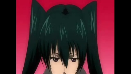 DGM - Roads Melody