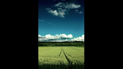 Fields of gold - Реквием за душата