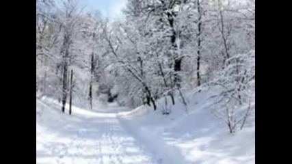 Зимни Снимки