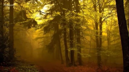 Niall Julianna -golden Pathways