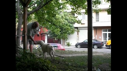 drygoto mi kyche spartak