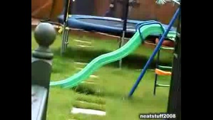 Куче Се Oпитва Да Се Качи На Пързалка