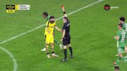 Red Card by Nikola Soldo