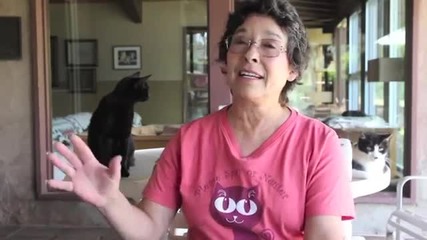 Жена превърна дома си в приют за котки