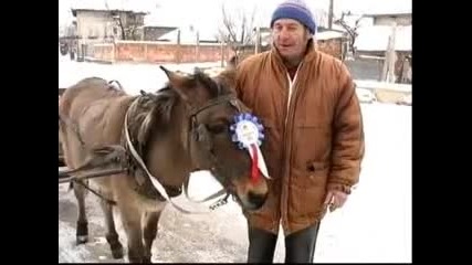 Кьорава кобила с.ясен , Плевенско 