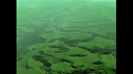 Oxygen - The Ocean