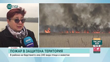 След пожарите в „Калимок-Бръшлен“: Няма опасност за птиците, които гнездят в района
