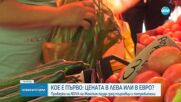Проверка на NOVA: Готови ли са бизнесът и потребителите за цените в евро