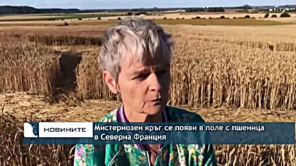 Мистериозен кръг се появи в поле с пшеница в Северна Франция