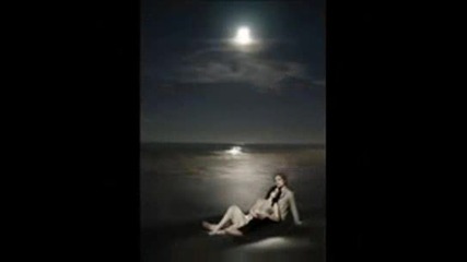 Twilight - Edward & Bella