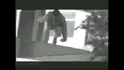 Parkour