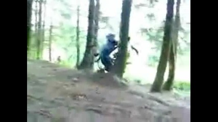 Май и в гората трябва да сложат пътни знаци 