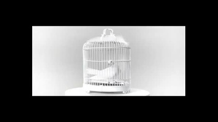 Zain Bhikha - First We Need the Love