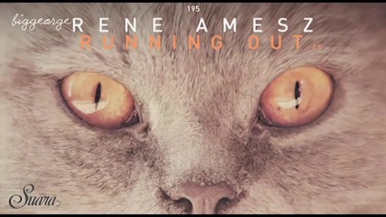 Rene Amesz - Running Out Of Black ( Original Mix )
