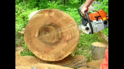 Stock Stihl 660 + 28 bar 