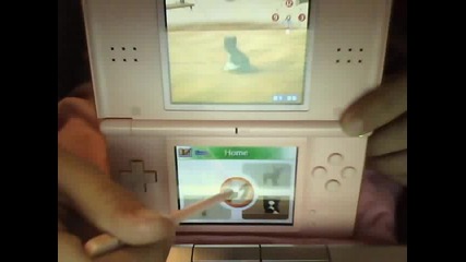 my new nintendogs