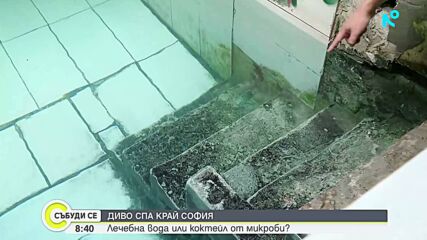Хит в TikTok: Лечебни или опасни са "дивите" басейни край Железница?