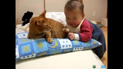 Бебе яде опашката на коте