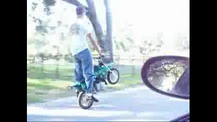50 Stunts