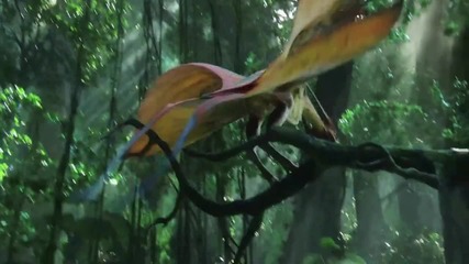 Pandora discovered