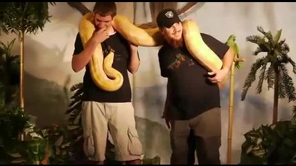 Огромна змия но къде е опашката ( Смях )