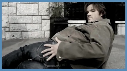 The Shrine of Jared Padalecki`s Ass xdd 