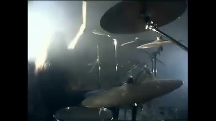 Wisdom - Strain of Madness Hq