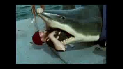 Руснак излиза от устата на акула ...