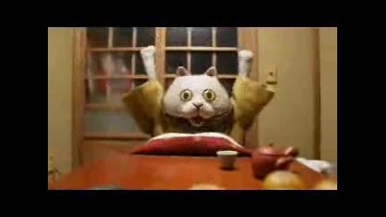 Crazy Cat