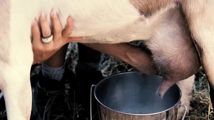 Wanderlust_ Trailer Hd