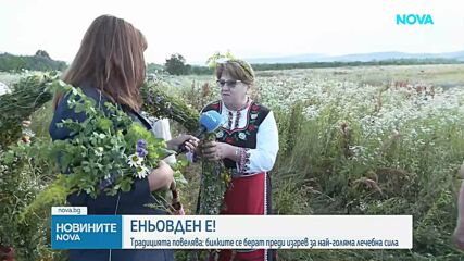 Магията на Еньовден: Когато слънцето „играе“, а билките лекуват 77 болести и половина